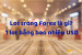 Khái niệm lot trong Forex là gì? 1 lot trong Forex bằng bao nhiêu USD