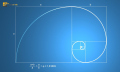 Fibonacci là gì? Ứng dụng dãy số vàng trong giao dịch tài chính