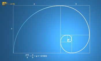 Fibonacci là gì? Ứng dụng dãy số vàng trong giao dịch tài chính