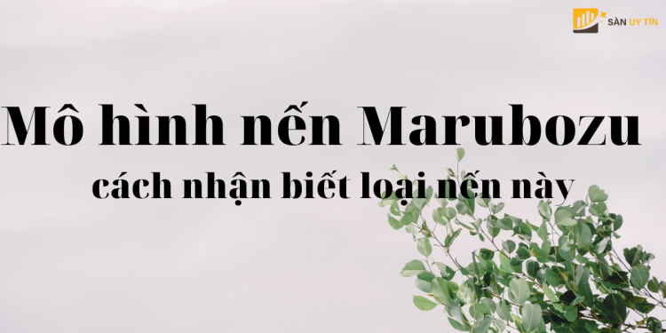 Nến Marubozu là gì? Cách nhận biết và giao dịch hiệu quả