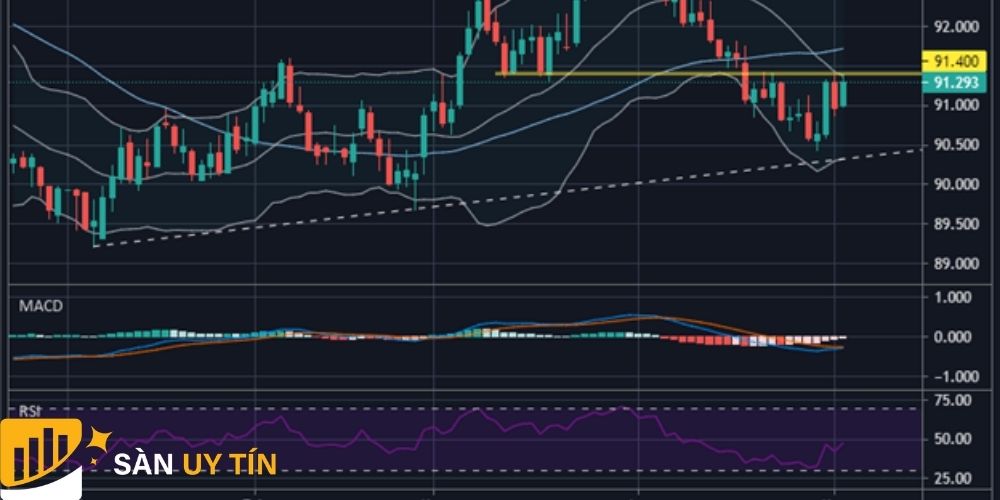 Biểu đồ dao động của Đồng USD