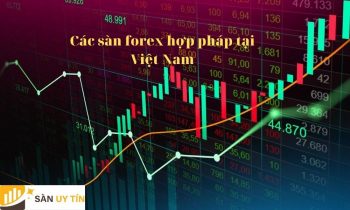 Top các sàn forex hợp pháp tại Việt Nam uy tín và đáng chơi