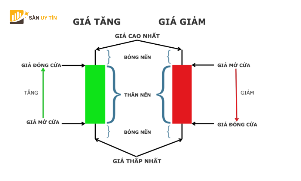 Vai tro cua cac bieu do nen