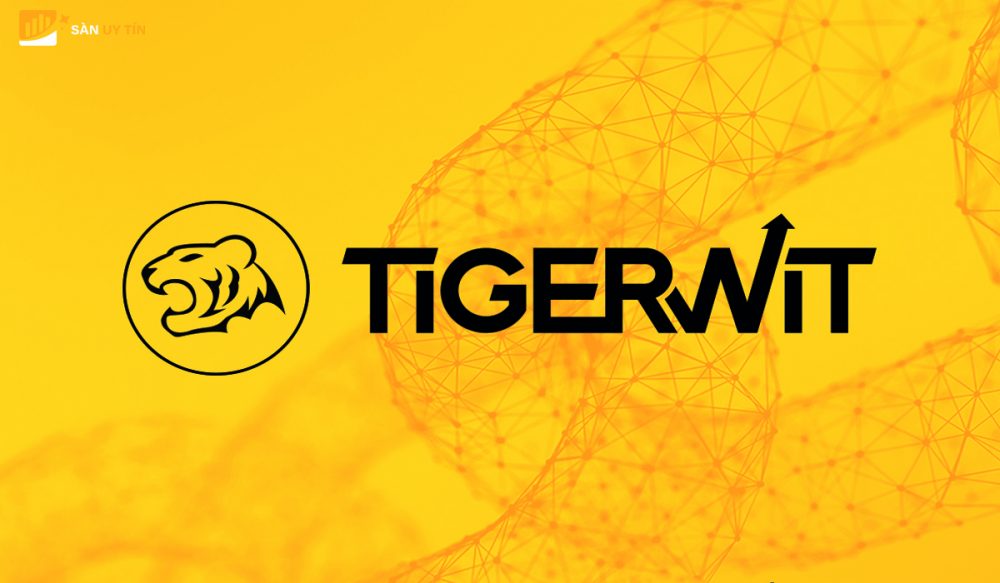 Đánh giá sàn TigerWit