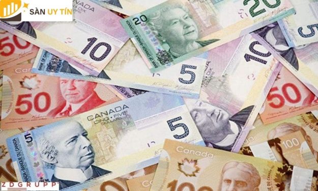 Dự báo đô la Canada: Dữ liệu để hỗ trợ BoC và OPEC là một rủi ro