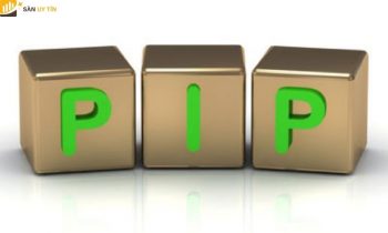 Pip là gì? Cách tính số pip trong Forex đơn giản nhất cho nhà đầu tư mới