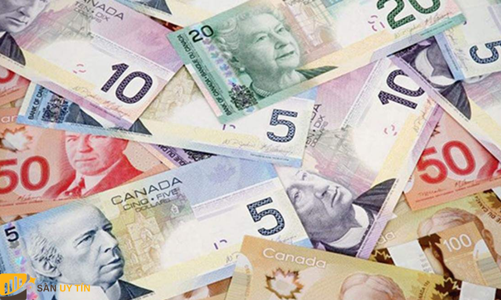 Đồng đô la của Canada cũng chính là đồng tiền lưu trữ lớn thứ 5 trên thị trường thế giới