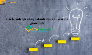 Phương pháp tính lợi nhuận dành cho chuyên gia giao dịch LiteFinance