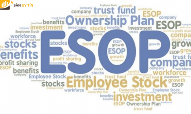 Cổ phiếu ESOP là gì? Lợi ích và rủi ro mà ESOP đem lại