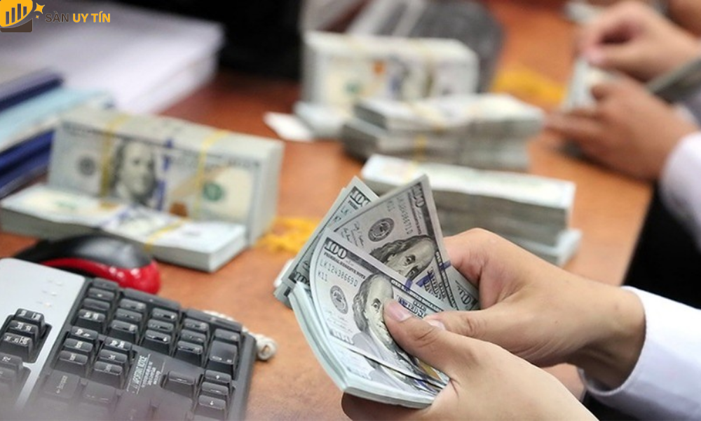 Nguồn dự trữ ngoại hối tại Việt Nam đã và đang dần tăng mạnh mẽ trong khi Ngân Hàng Nhà Nước quyết định sẽ tích cực mua ngoại tệ từ các ngân hàng vào.