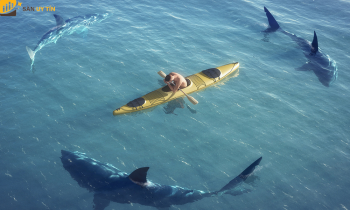 Cá mập trong Forex là gì? Có nên bám cá mập khi giao dịch