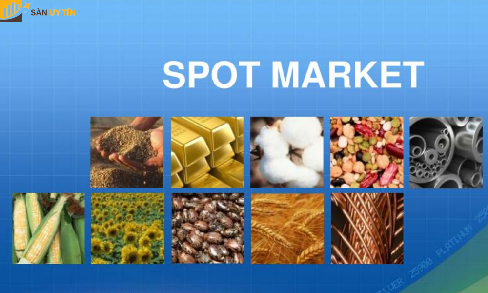 Spot Market là gì gồm những gì?