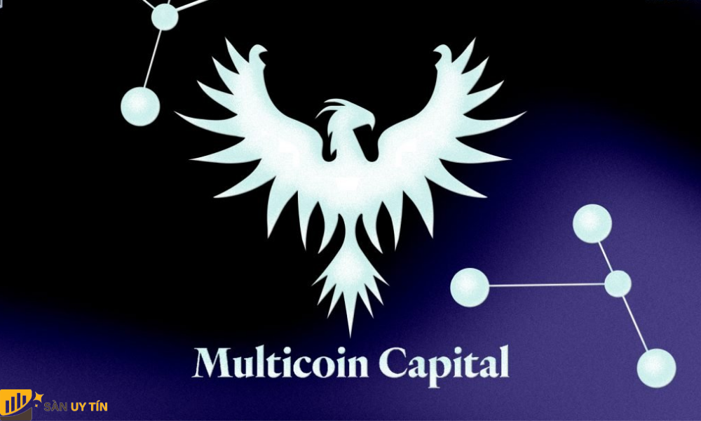 Multicoin Capital - Quỹ đầu cơ và mạo hiểm