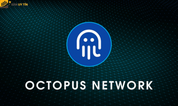 Octopus Network là gì? Thông tin mới nhất về OCT