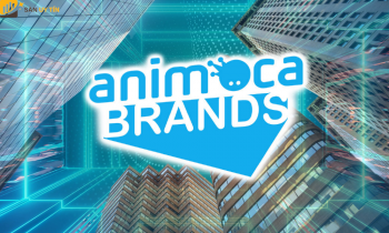 Animoca Brands là gì? Thông tin quan trọng về quỹ đầu tư Multicoin Capital
