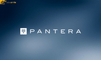 Pantera Capital là gì? Xu hướng đầu tư của quỹ Pantera