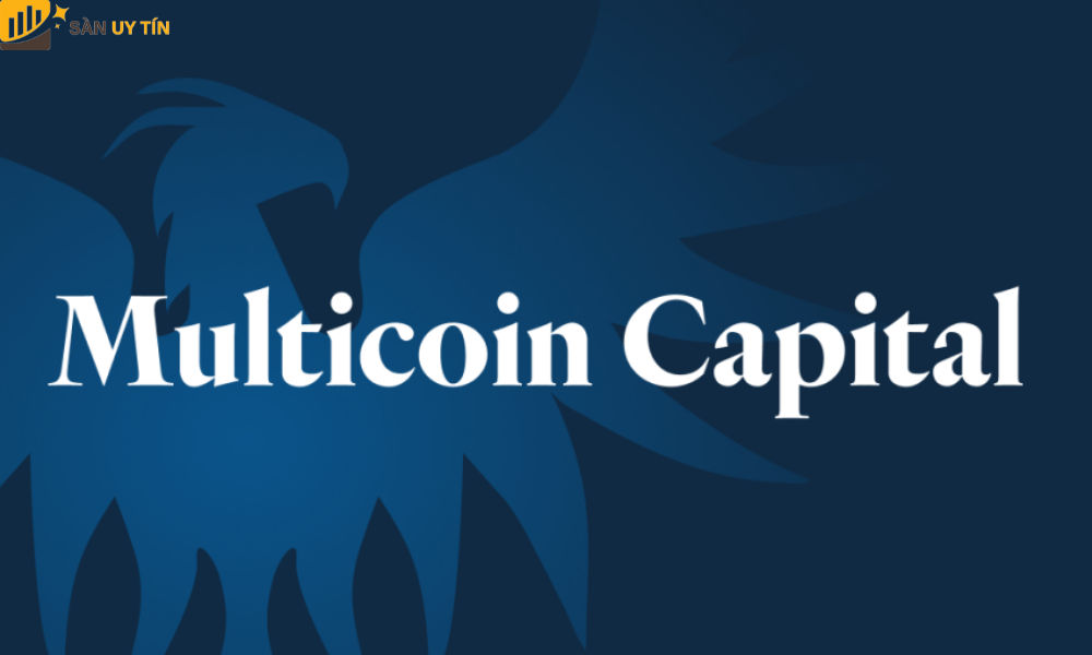 Tìm hiểu thông tin dự án Multicoin Capital