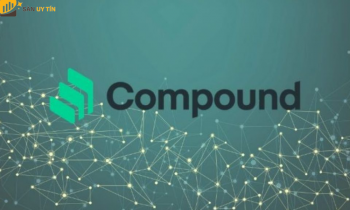 Compound là gì? Khám phá tổng quát về dự án Compound