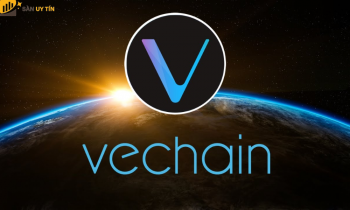 VeChain là gì? Những thông tin cần biết về hệ sinh thái VET Ecosystem