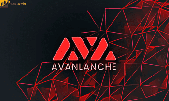 AVAX Token là gì? Tổng quan về dự án Avalanche và AVAX Token