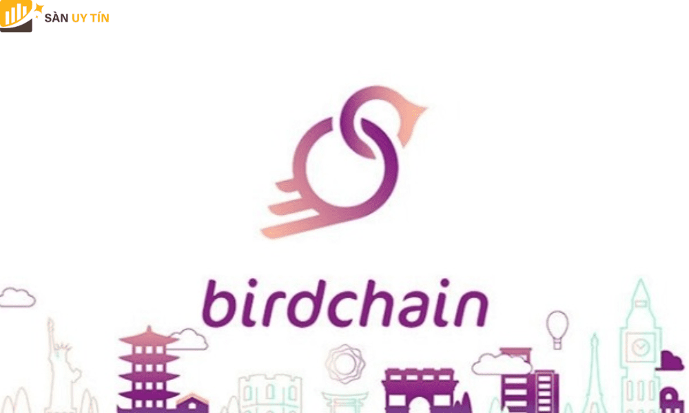 Bird Money sử dụng phân tích Oracle Off Chain để cung cấp các giao thức với dữ liệu minh bạch có sẵn trên mạng lưới.