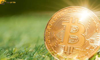 Đáy của Bitcoin trong Quý 3 năm 2022 nằm ở đâu?