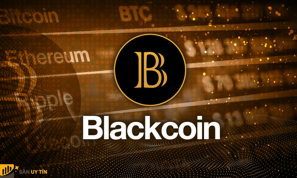 Blackcoin được ra mắt vào năm 2014 như một loại tiền điện tử mã nguồn mở Peer-To-Peer