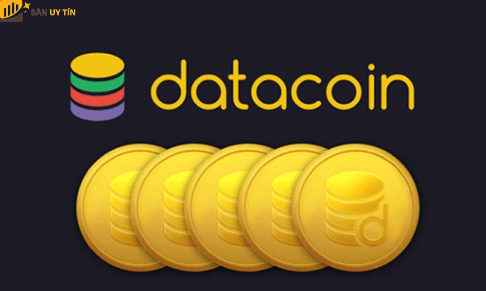 Data Coin là gì?