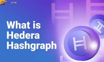Hedera là gì? Tìm hiểu chi tiết về Hedera (HBAR) 2022