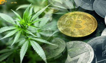 Potcoin là gì? Đánh giá tiềm năng của POT Coin năm 2022