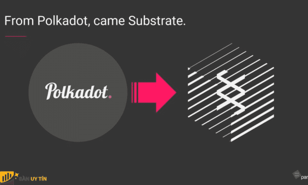 Substrate là gì? Tầm quan trọng của Substrate trong Polkadot