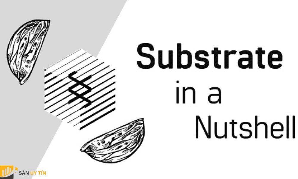 Substrate mang lại nhiều lợi ích cho người dùng vì sở hữu nhiều tính năng ưu việt