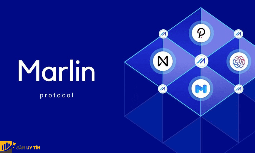 Marlin Protocol là một giao thức lớp 0
