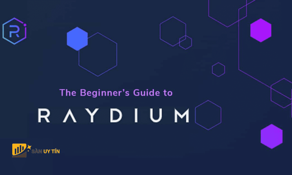 Raydium là một sàn giao dịch tự động AMM dựa trên Blockchain của Solona.