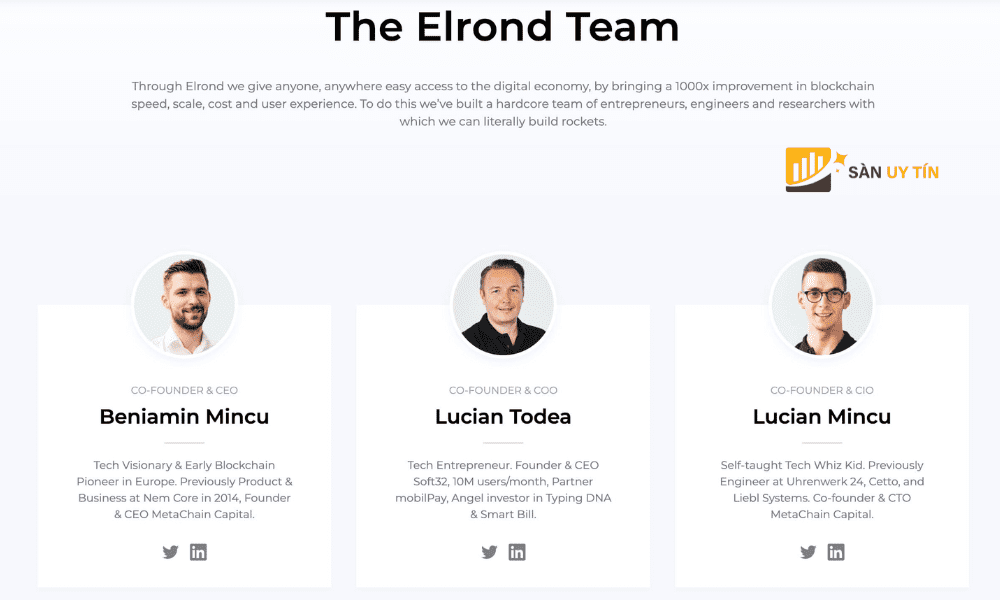 Đội ngũ phát triển dự án Elrond Network
