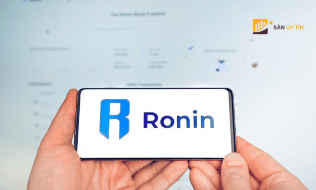 Ronin wallet là gì? Làm thế nào để sử dụng ví Ronin wallet