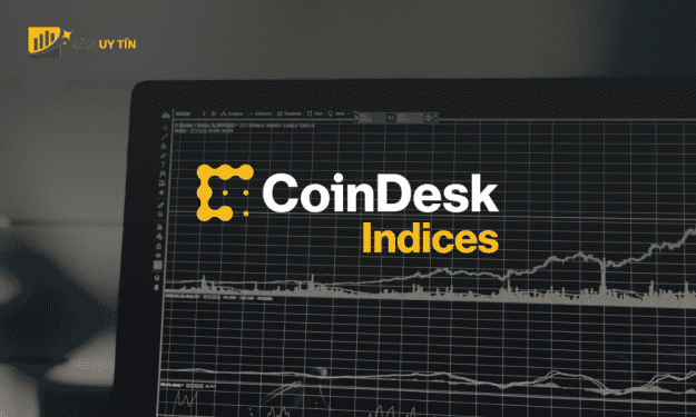 Coincodex là gì? Một số tính năng của Coincodex