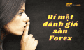 Những bí mật đánh giá sàn Forex mà bạn không thể bỏ qua!