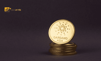 ADA coin là gì? Tiềm năng tương lai của ADA coin trong Blockchain
