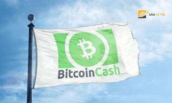 Bitcoin Cash là gì? Tương lai của Bitcoin Cash