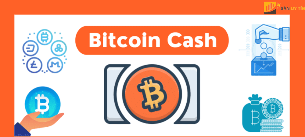 Bitcoin Cash la gi