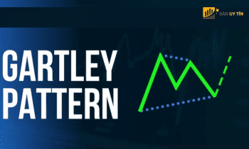 Mô hình Gartley là gì? Cách sử dụng Gartley Pattern hiệu quả trong giao dịch