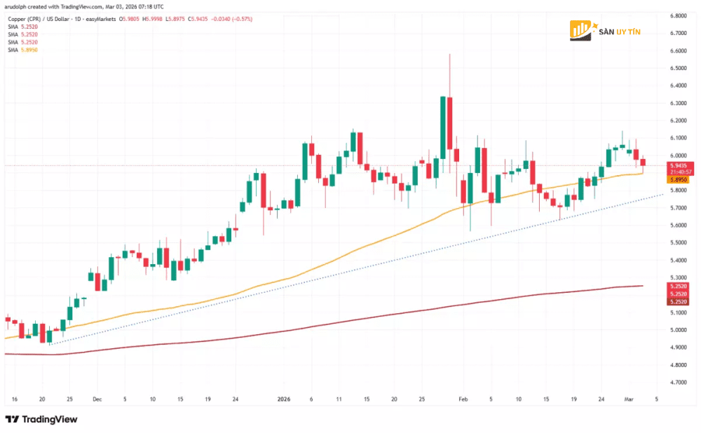 Bieu do nen hang ngay cua dong