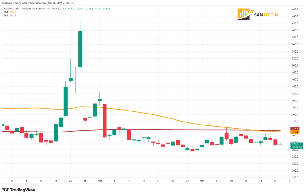 Bieu do nen hang ngay cua khi dot tu nhien