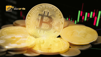 Bitcoin duy trì xu hướng tích lũy khi thị trường crypto giảm áp lực bán