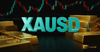 Vàng chững lại tại mốc 4.900 USD: Tín hiệu giảm giá bắt đầu xuất hiện